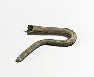 Shepherd's crook by Unknown Artist