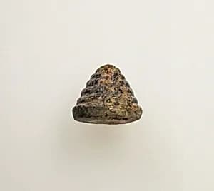 Spindle whorl by Unknown Artist