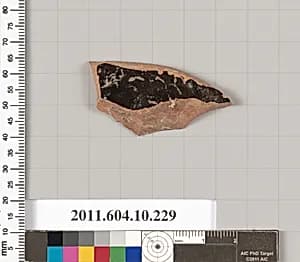 Terracotta fragment of a closed shape by Unknown Artist