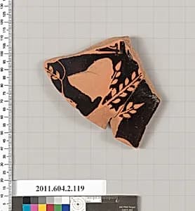Terracotta fragment of a pelike (jar) by Unknown Artist