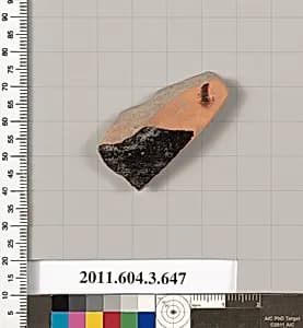 Terracotta fragment of an open vase by Unknown Artist