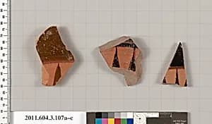 Terracotta fragments of amphorae (jars) by Unknown Artist