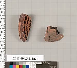 Terracotta fragments of amphorae (jars) by Unknown Artist