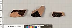 Terracotta fragments of amphorae (jars) by Unknown Artist