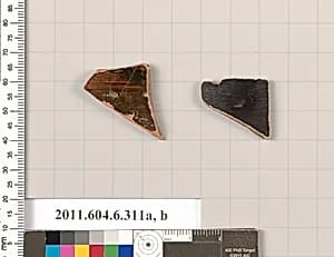 Terracotta fragments of closed shapes  by Unknown Artist