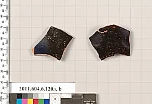 Terracotta fragments of closed shapes  by Unknown Artist