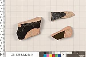 Terracotta fragments of open shapes by Unknown Artist