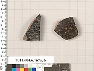 Terracotta fragments of open shapes by Unknown Artist