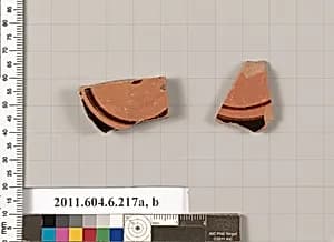 Terracotta fragments of open shapes by Unknown Artist