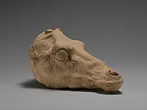 Terracotta head of a deer by Unknown Artist