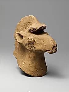 Terracotta head of a horse by Unknown Artist