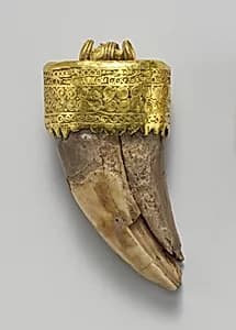 Tooth pendant set in gold by Unknown Artist