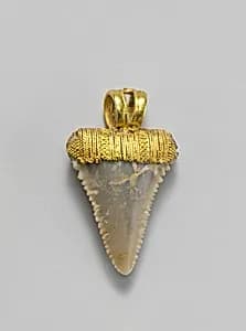 Tooth pendant set in gold by Unknown Artist