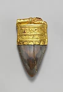 Tooth pendant set in gold by Unknown Artist