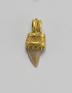 Tooth pendant set in gold by Unknown Artist
