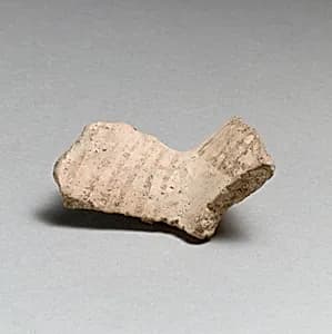 Vase fragment by Unknown Artist