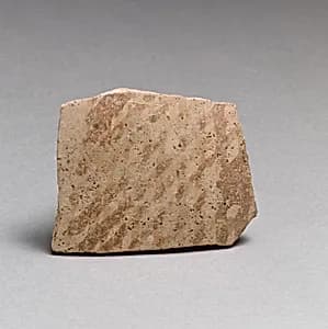 Vase fragment by Unknown Artist
