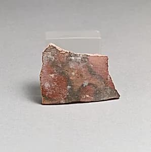 Vase fragment by Unknown Artist