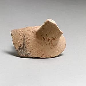 Vase fragment by Unknown Artist