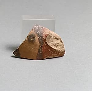Vase fragment by Unknown Artist