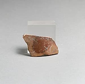 Vase fragment by Unknown Artist