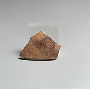 Vase fragment by Unknown Artist