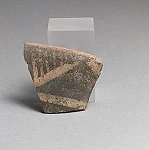 Vase fragment by Unknown Artist