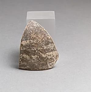 Vase fragment by Unknown Artist
