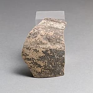 Vase fragment by Unknown Artist
