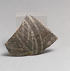 Vase fragment by Unknown Artist