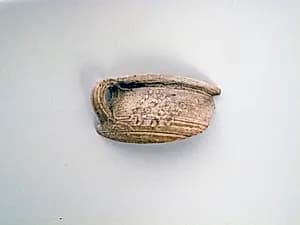 Vase fragment by Unknown Artist