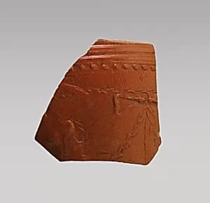 Vase Fragment by Unknown Artist