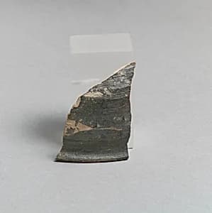 Vase fragment by Unknown Artist