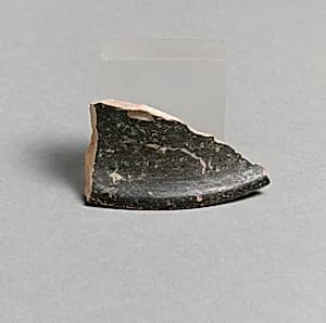 Vase fragment by Unknown Artist