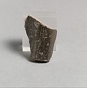 Vase fragment by Unknown Artist