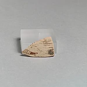 Vase fragment by Unknown Artist
