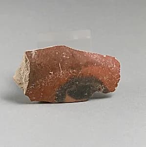 Vase fragment by Unknown Artist