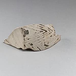 Vase fragment by Unknown Artist