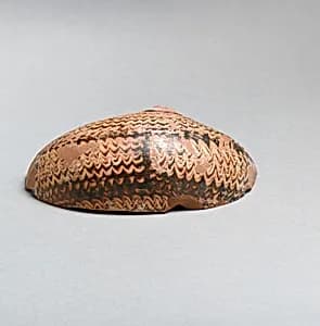 Vase fragment by Unknown Artist