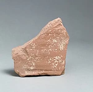 Vase fragment by Unknown Artist