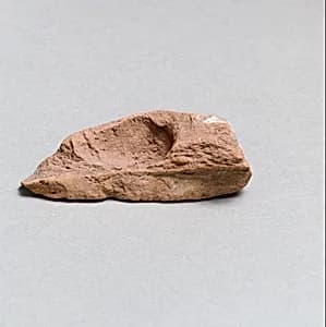 Vase fragment by Unknown Artist