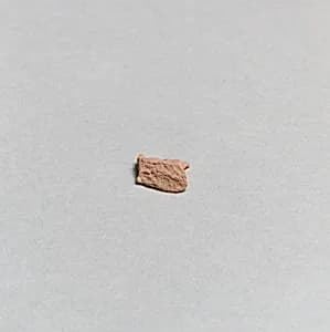 Vase fragment by Unknown Artist