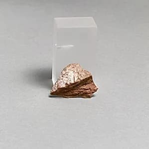 Vase fragment by Unknown Artist