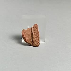 Vase fragment by Unknown Artist
