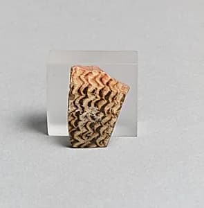 Vase fragment by Unknown Artist
