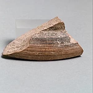 Vase fragment by Unknown Artist