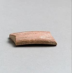 Vase fragment by Unknown Artist
