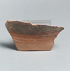 Vase fragment by Unknown Artist