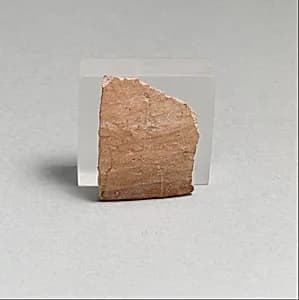 Vase fragment by Unknown Artist