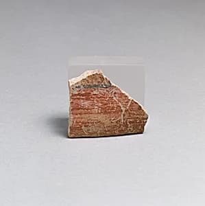Vase fragment by Unknown Artist